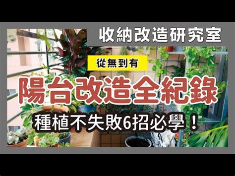 房間陽台植物|【陽台植栽】15 種陽台植栽推薦｜新手也能輕鬆養出 